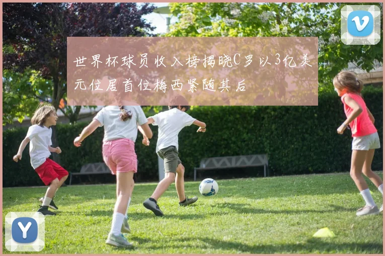 世界杯球员收入榜揭晓C罗以3亿美元位居首位梅西紧随其后